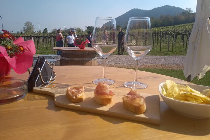 From Padua: Olive Oil & Wine in the Euganean Hills - Getting from Padua to the hills: pickup and vehicle comfort