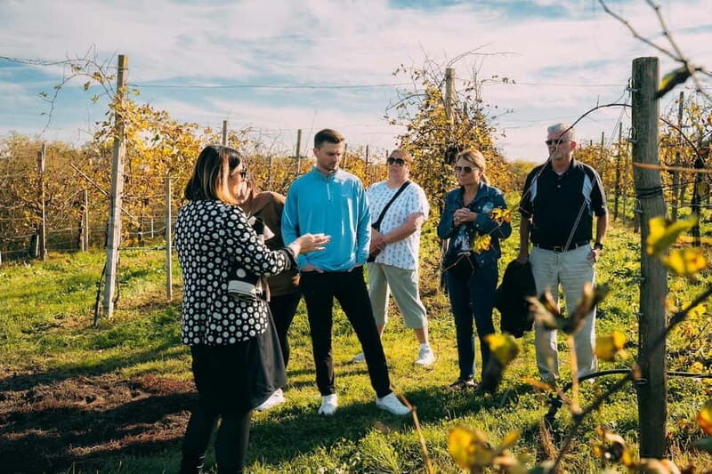 From Venice: Prosecco Hills and Wine Tasting Tour - Prosecco hills: why this day trip works from Venice