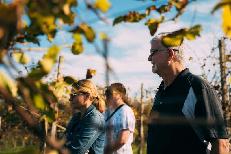 From Venice: Prosecco Hills and Wine Tasting Tour - Timing and pacing: a full day that doesn’t feel rushed