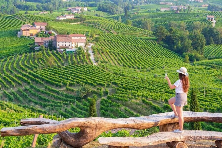 From Venice: Wine and Food tour in the Prosecco Hills - Key highlights you’ll actually feel during the day