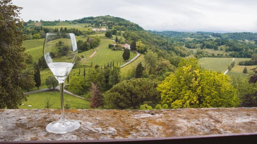 From Venice: Wine and Food tour in the Prosecco Hills - Prosecco Hills with real production, not just a photo op