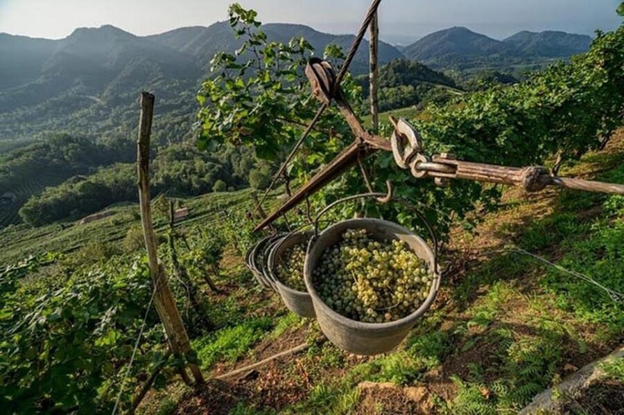 From Venice: Wine and Food tour in the Prosecco Hills - Views and timing: a day that doesn’t feel too long