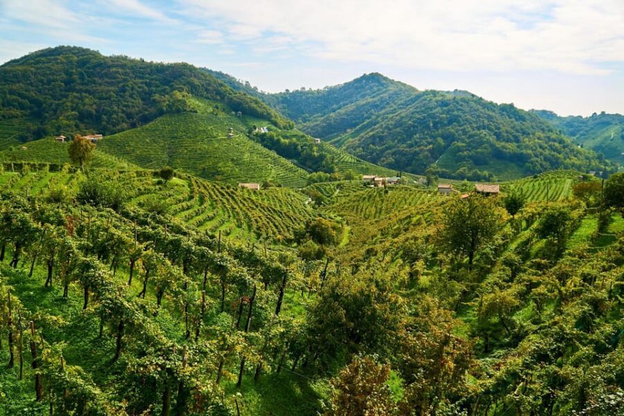 From Venice: Wine and Food tour in the Prosecco Hills - The guide and host factor: Paolo, Anna, and the VIP feeling