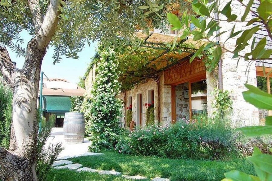 From Venice: Wine and Food tour in the Prosecco Hills - Price and value: why $175-ish can work for a small-group day