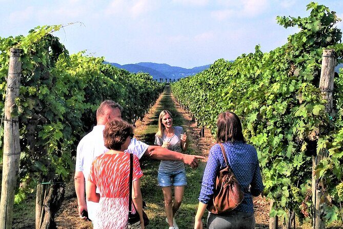 From Venice: Wine Tour in the Euganean Hills - The second family-run winery: where the geology lesson turns into taste