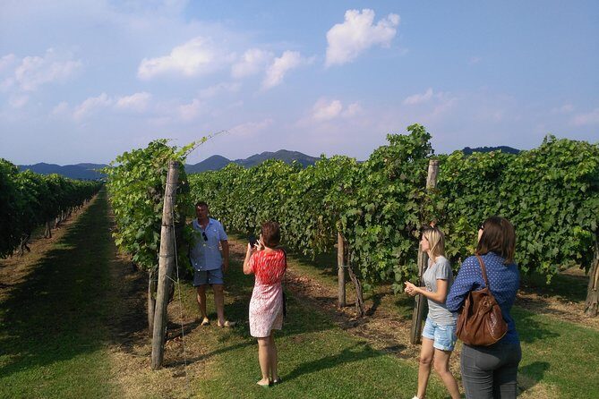From Venice: Wine Tour in the Euganean Hills - Price and value check for $208.50 from Venice