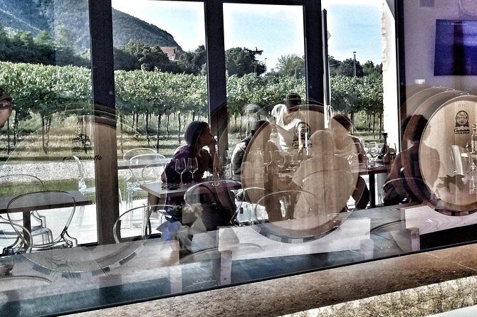 From Venice: Wine Tour in the Euganean Hills - Cantina Colli Euganei: vineyard walk, barrel room, then tasting with snacks