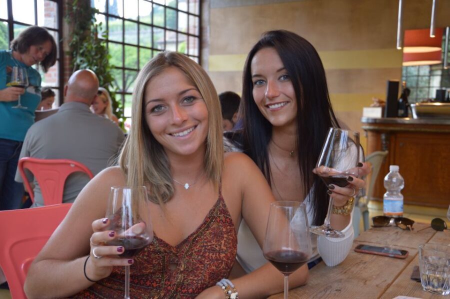 From Verona: Amarone Half-Day Wine Tasting Tour - Who this half-day Amarone tour is perfect for