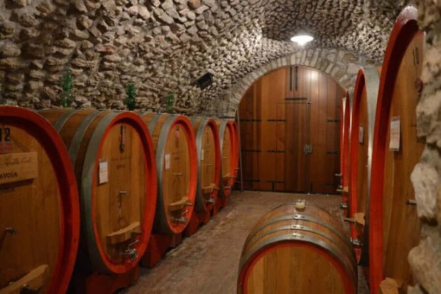From Verona: Amarone Half-Day Wine Tasting Tour - FAQ