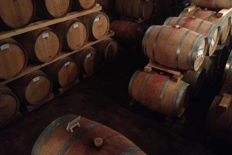 From Verona: Amarone Wine E-Bike Tour with Tasting - From Itinera Bike & Travel to Valpolicella’s first vineyard bends