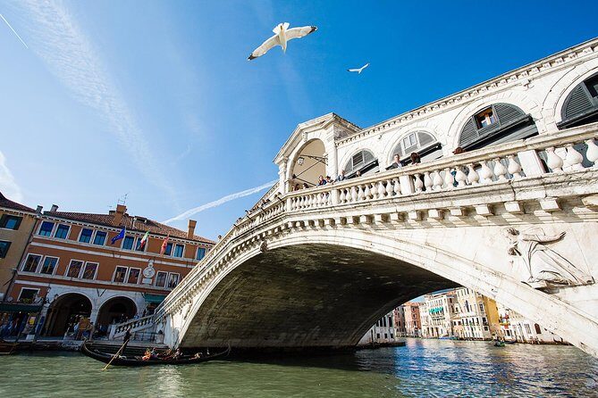 From Verona: Day trip to Venice with tour guide - A smooth Verona-to-Venice day plan starting at 8:30