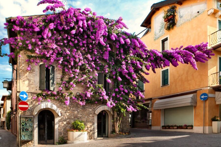 From Verona: discover Lake Garda and Sirmione private tour - Your 2-hour free time: gelato, lunch, shore time, and a swim option