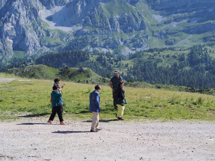 From Verona: Full-day Dolomites Mountains Guided Tour - Price and value: €147.27 plus the cable car and food reality