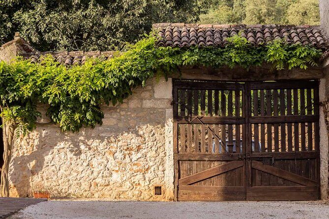 From Verona: Prosecco & Classic method sparkling wine tour, with light lunch - Stop 2 and lunch at the winery: Charmat method tasting with local food