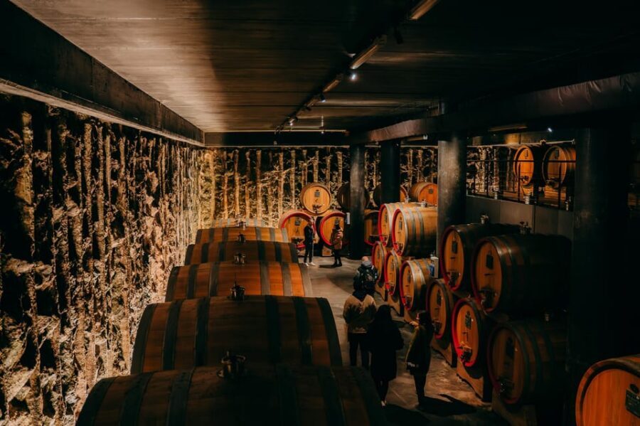 From Verona: Valpolicella and Amarone Wine Tasting Tour - Stop 1: your first winery cellar tour and tasting table