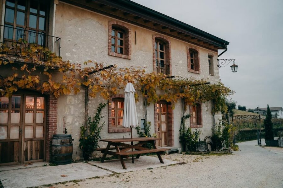 From Verona: Valpolicella and Amarone Wine Tasting Tour - The in-between stretch: gardens, vineyards, and a chance to reset