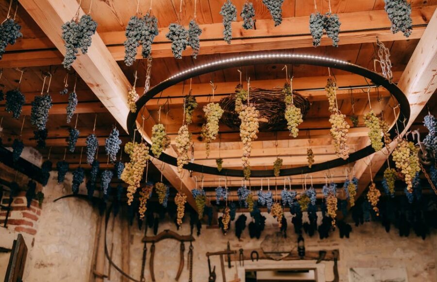 From Verona: Valpolicella and Amarone Wine Tasting Tour - Stop 2: a second tasting round with a different kind of winery feel