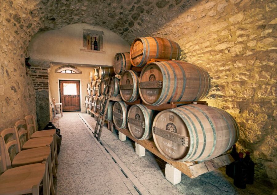 From Verona: Valpolicella Winery Tour with Amarone Vintages - Who this tour suits best (and who might not)