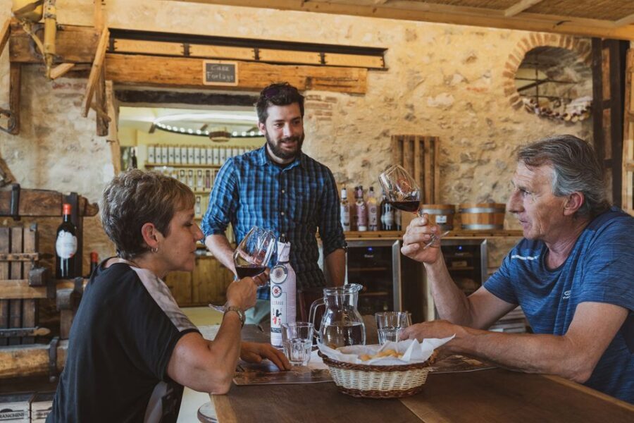 From Verona: Valpolicella Winery Tour with Amarone Vintages - Barriques and years of refinement in the cellar