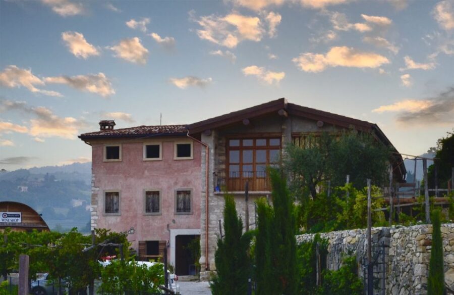 From Verona: Valpolicella Winery Tour with Amarone Vintages - Amarone Riserva and Recioto: what to pay attention to while tasting