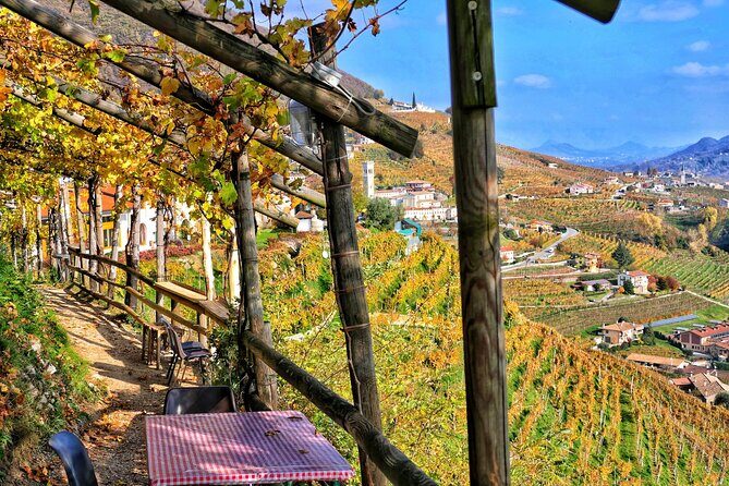 Full day Private Prosecco Tour, with certified Sommelier - The private driver and certified sommelier combo (and why it matters)