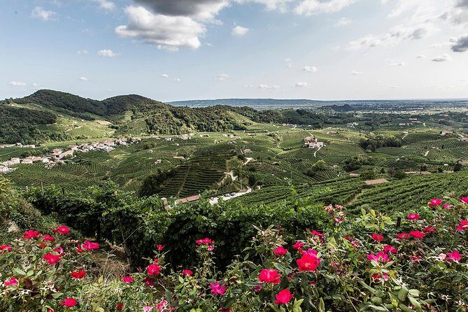 Full day Private Prosecco Tour, with certified Sommelier - How to get more from the tastings (ask these questions)