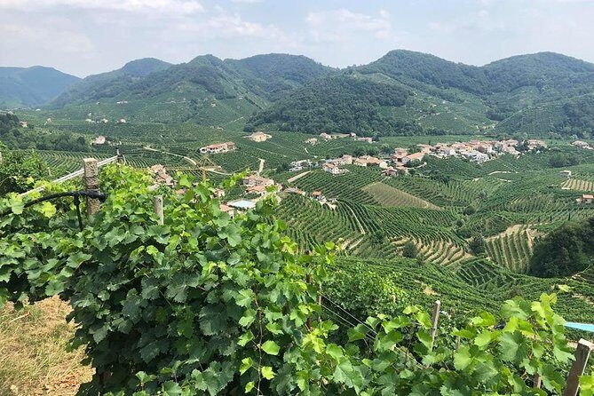 Full Day Prosecco and Cheese Tasting from Venice - Key highlights you’ll feel all day