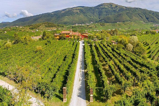 Full Day Prosecco and Cheese Tasting from Venice - Osteria Senz’Oste: lunch with a view worth the detour