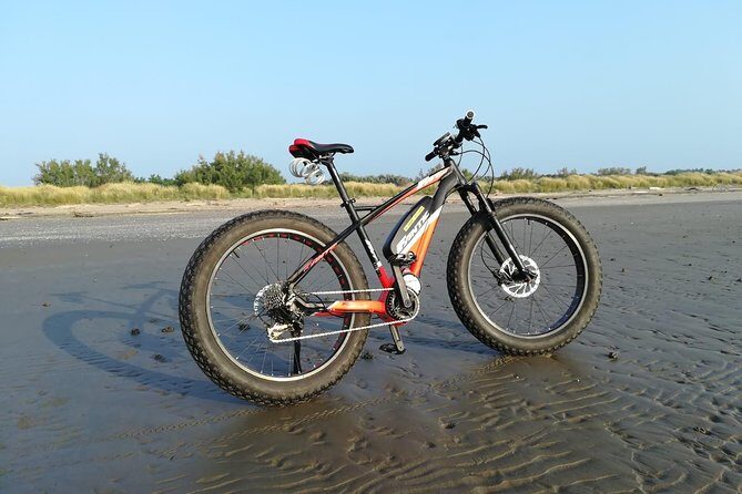Full Day Venice E-Bike Rental - Key highlights to plan around