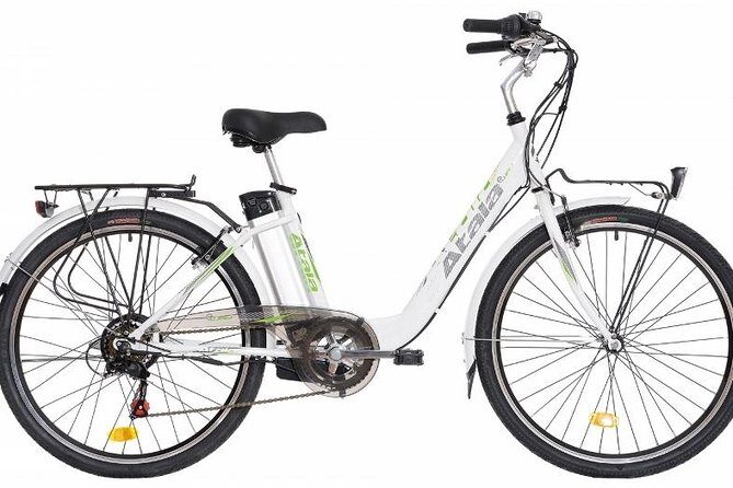 Full Day Venice E-Bike Rental - Why a full-day e-bike rental on Venice’s Lido beats bus-and-walk