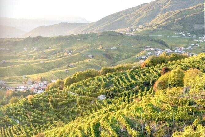 Full Day Wine Tour and Tasting in the Prosecco Region - The View Stops in the Hills: Terrace Time and a Likely Photo Bonus