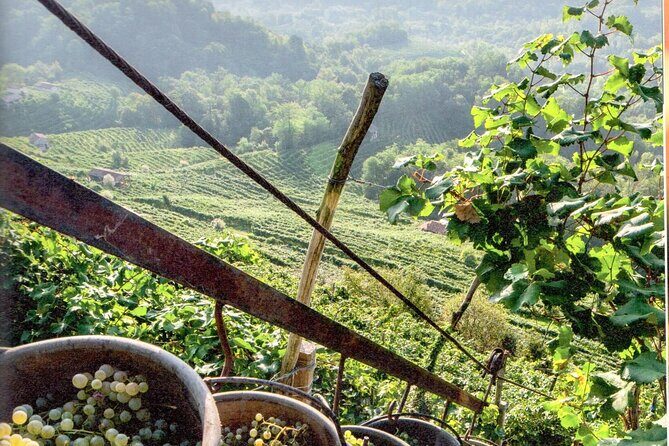 Full Day Wine Tour and Tasting in the Prosecco Region - Second Tasting in the Hills: Family Passion and Old-World Rhythm