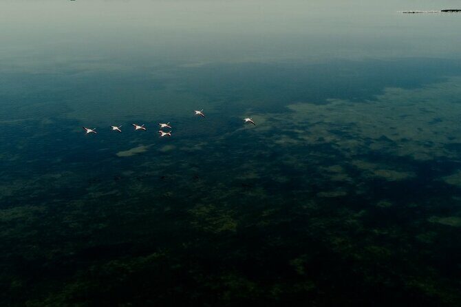 Guided excursion for small groups by kayak in Valle da Pesca - What the 2–3 hour timing really means for your day