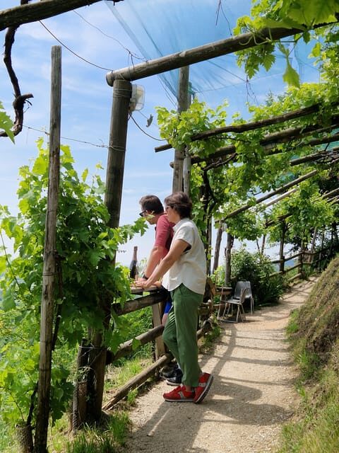Guided Prosecco Tasting & Easy E-Bike Ride - How hard is it, and who should book this?