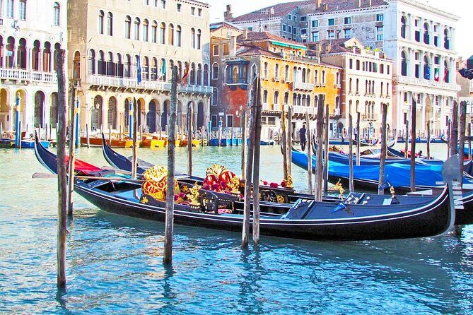 Guided Sightseeing Tour of Venice Highlights for Kids & Families - Price and value: what $280.30 per person buys you