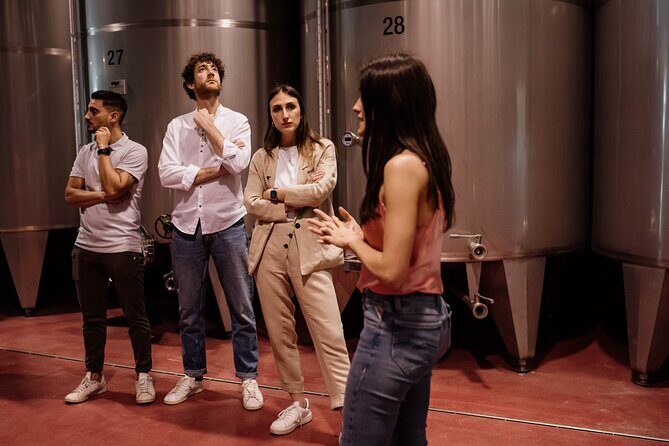 Guided Visit and Wine Tasting at the Winery in Veneto - Why Cantina Manera Luigi Is Worth a 90-Minute Stop