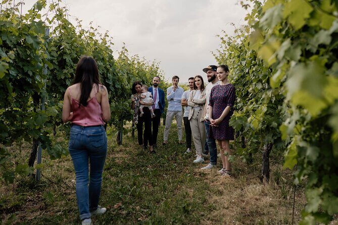 Guided Visit and Wine Tasting at the Winery in Veneto - The Wine Game Tasting: Four Wines, Cold Cuts, Cheese, and a Smell-and-Taste Test
