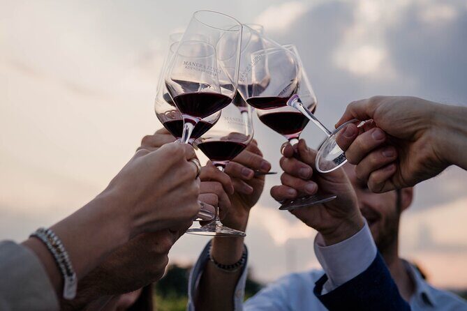 Guided Visit and Wine Tasting at the Winery in Veneto - Practical Tips for a Smooth Visit
