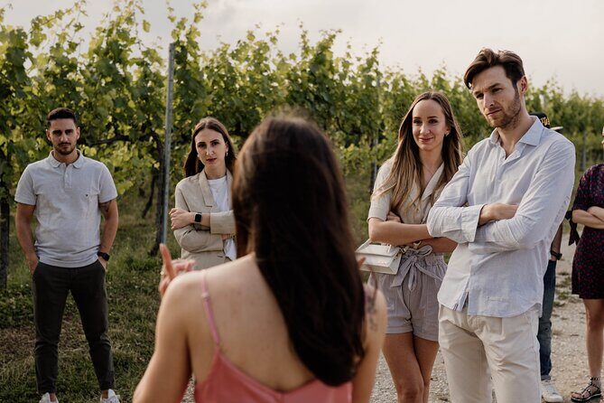 Guided Visit and Wine Tasting at the Winery in Veneto - Vineyards First: Following the Grapes’ Path in the Three Moments