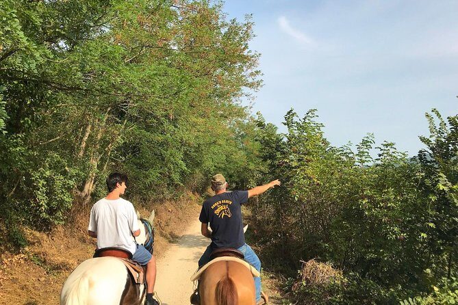 Horseback riding and wine tasting - Getting matched to the right trail horse and learning the basics