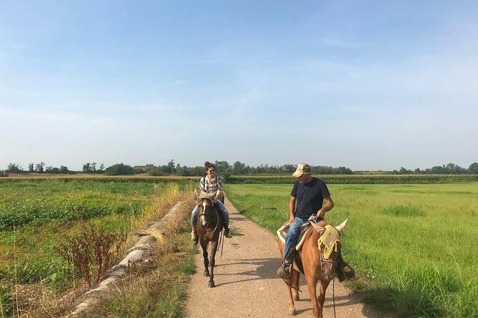 Horseback riding and wine tasting - Wine tasting lineup: white, rosè, red with homemade cheese and salami