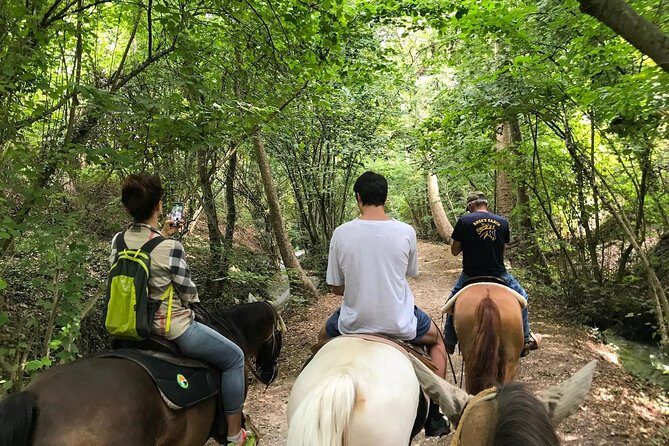 Horseback riding and wine tasting - Price and value: what $190.63 per person covers (and why it feels fair)