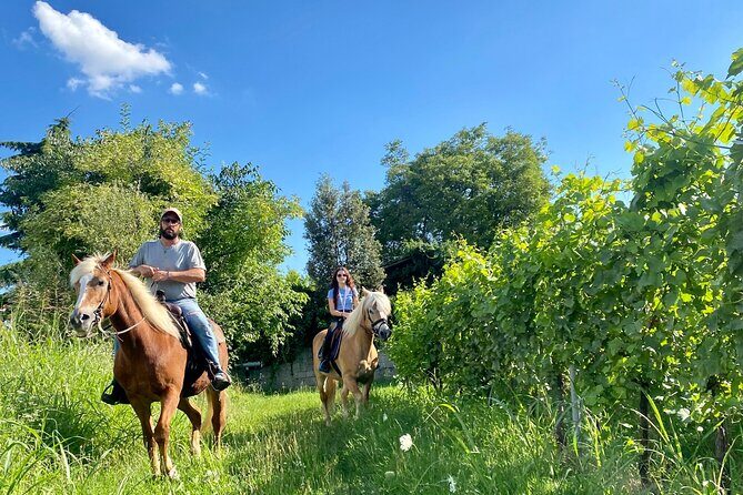 Horseback Riding with Wine and Food Tasting in Lazise Countryside - Key Points to Know Before You Go
