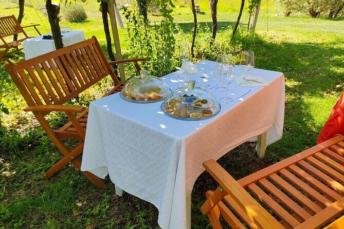 Horseback Riding with Wine and Food Tasting in Lazise Countryside - The Wine Tasting: Local Bottles, Farm Tempo