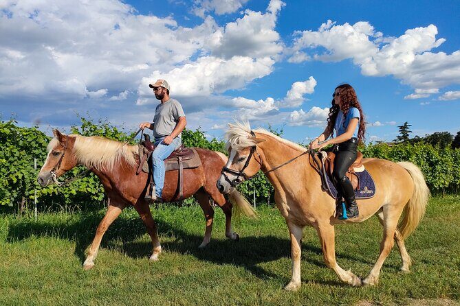 Horseback Riding with Wine and Food Tasting in Lazise Countryside - Who This Tour Fits Best (and Who Might Want a Different Day)