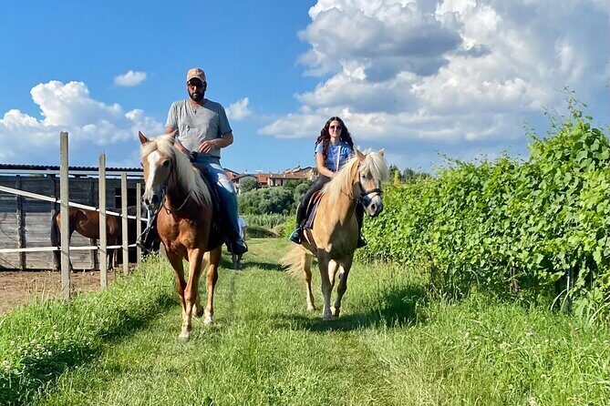 Horseback Riding with Wine and Food Tasting in Lazise Countryside - Apicoltura Morati: Where the Honey Comes From (and the Picnic Follows)