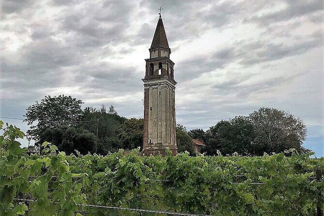 Island Hopping Tour: Mazzorbo, Burano and Murano - Meeting in Venice and managing the water-bus reality