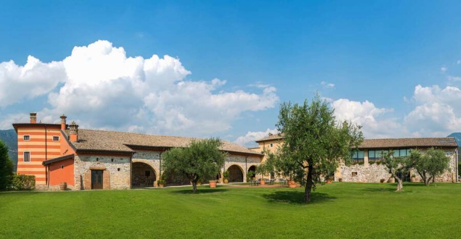 Lake Garda: Garda Hills Wine Tour and Tasting - Vineyard Walk: Learning the Grape Choices Without the Lecture