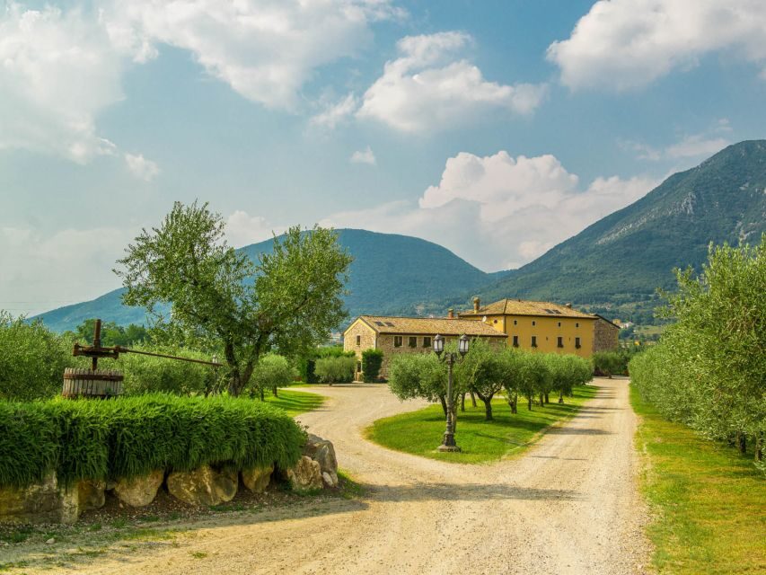Lake Garda: Garda Hills Wine Tour and Tasting - Two Cellars in One Tour: Seeing New vs. Aging Production