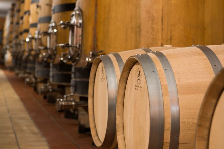 Lake Garda: Garda Hills Wine Tour and Tasting - How Much Is It Really Worth at $51?